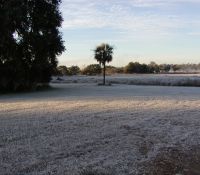 LSchuld071218