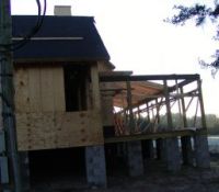 GitlitzCot061206a