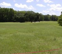 LGroman080627b