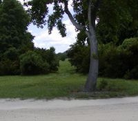 LGroman080627c