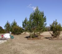 LGroman081201a