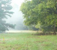 L13IndigoTrailN141029a