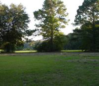 L13IndigoTrailN141029d