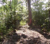 LCampbell070628c
