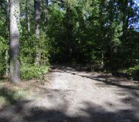 LCampbell070628d