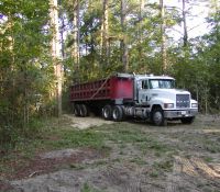 LCampbell070726b