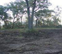 Keller061206a