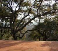 Keller070308a