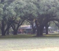LowcountryPlantation070604c